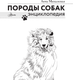 Миниатюра изображения товара Энциклопедия АСТ Породы собак, твердая обложка (Михальская Анна)