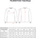 Миниатюра изображения товара Лонгслив спортивный Jogel Division PerFormDRY Pre-Match Longsleeve Jersey (XL, темно-синий)