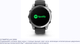 Миниатюра изображения товара Умные часы Garmin Fenix E Amoled 47mm / 010-03025-00 (серая сталь/черный)