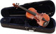 Миниатюра изображения товара Скрипка Karl Hofner AS-170-V 4/4