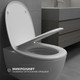 Миниатюра изображения товара Сиденье для унитаза Saniteco SD 15m (с микролифтом)
