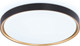 Миниатюра изображения товара Потолочный светильник Ambrella Orbital FZ1249 BK/GD (черный/золото)
