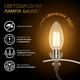 Миниатюра изображения товара Лампа Gauss Filament Свеча 9W 680lm 2700К Е14 LED / 103801109