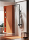 Миниатюра изображения товара Душевая система со смесителем Raglo R20.24.06