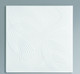 Миниатюра изображения товара Потолочная плита FORMAT 3102 из экструзированного пенополистирола (500x500, уп.8шт, белый)