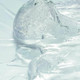 Миниатюра изображения товара Гель для умывания Round Lab 1025 Dokdo Cleansing Gel с морской водой (150мл)