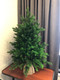 Миниатюра изображения товара Ель искусственная National Tree Company Астерия Премиум 3D / Астр/ПР-90 (90см)
