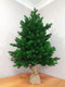 Миниатюра изображения товара Ель искусственная National Tree Company Астерия Премиум 3D / Астр/ПР-90 (90см)