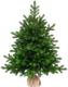 Миниатюра изображения товара Ель искусственная National Tree Company Астерия Премиум 3D / Астр/ПР-90 (90см)