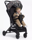 Миниатюра изображения товара Детская прогулочная коляска Rant Basic Juno / RA302 (Family)