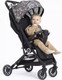 Миниатюра изображения товара Детская прогулочная коляска Rant Basic Juno / RA302 (Family)