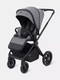 Миниатюра изображения товара Детская универсальная коляска Rant Falcon Neo 2 в 1 / RA108 (Grey)