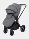 Миниатюра изображения товара Детская универсальная коляска Rant Falcon Neo 2 в 1 / RA108 (Grey)
