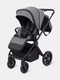 Миниатюра изображения товара Детская универсальная коляска Rant Falcon Neo 2 в 1 / RA108 (Grey)