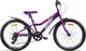 Миниатюра изображения товара Велосипед AIST Rosy Junior 1.0 24 2024 (фиолетовый, разобранный, в коробке)