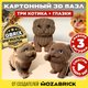 Миниатюра изображения товара Конструктор QBRIX Три котика 3D. С глазками 20087