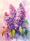 Миниатюра изображения товара Набор алмазной вышивки Феникс+ Акварельная сирень / 68634