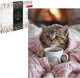 Миниатюра изображения товара Набор алмазной вышивки Феникс+ Котенок в пледе / 68635