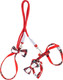 Миниатюра изображения товара Шлея с поводком Solmax&Zoo MUZ54779 (красный)