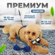 Миниатюра изображения товара Шлея с поводком Solmax&Zoo MUZ99280 (синий)