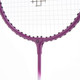 Миниатюра изображения товара Набор для бадминтона Torres Leisure Set BD23520 (фиолетовый)