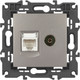 Миниатюра изображения товара Розетка ЭРА Elegance 14-3110-16 / Б0065768 (титан)