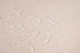 Миниатюра изображения товара Скатерть Stolima Pina Lace 7004 Шарм (110x140)