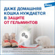 Миниатюра изображения товара Таблетки от глистов Elanco Мильбемакс для котят (2 таблетки)