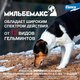 Миниатюра изображения товара Таблетки от глистов Elanco Мильбемакс для крупных собак (2 таблетки)