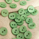 Миниатюра изображения товара Набор пуговиц Sentex P-001-11.5/2 (20шт, салатовый)