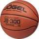 Миниатюра изображения товара Баскетбольный мяч Jogel JB-300 BC23 (размер 5)