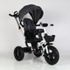 Миниатюра изображения товара Трехколесный велосипед с ручкой NINO 6688 (серый)