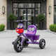 Миниатюра изображения товара Трехколесный велосипед NINO 805 (фиолетовый)
