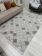 Миниатюра изображения товара Ковер Radjab Carpet Моника Прямоугольник MC 367A / 12604RK (2x2.9, Beige)