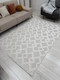 Миниатюра изображения товара Ковер Radjab Carpet Поло Прямоугольник EN 261 / 12552RK (2x4, Cream)
