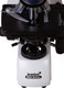 Миниатюра изображения товара Микроскоп цифровой Levenhuk MED D35T / 74002