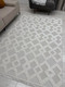Миниатюра изображения товара Коврик Radjab Carpet Поло Прямоугольник EN 261 / 12453RK (0.8x1.5, Cream)