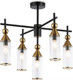 Миниатюра изображения товара Люстра Ambrella LH55256/5 BK/BS/CL (черный/латунь/прозрачный)