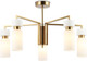 Миниатюра изображения товара Люстра Ambrella LH56124/5 BS/FR (латунь/белый матовый)