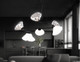Миниатюра изображения товара Люстра Ambrella LH15003/6 BK/FR/SM (черный/белый матовый/дымчатый)