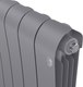 Миниатюра изображения товара Радиатор биметаллический Royal Thermo Infinity 500 Silver Satin (2 секции)
