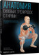 Миниатюра изображения товара Книга Попурри Анатомия силовых тренировок с гирями, мягкая обложка (Хартл Майкл)
