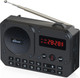 Миниатюра изображения товара Радиоприемник Ritmix RPR-010