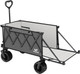 Миниатюра изображения товара Тележка туристическая Whitsunday WG Folding Wagon Tailgate WG-FWT-Double Grey (серый)