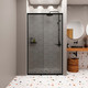 Миниатюра изображения товара Душевая дверь Domani-Spa DoorCube 100x190 / DS04DCb100L0T00.Gt-Black