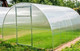 Миниатюра изображения товара Теплица Садовод Элит ОТ 0.51 кг/м2 (8м)