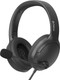 Миниатюра изображения товара Наушники-гарнитура A4Tech Fstyler FH280U (черный)