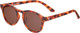 Миниатюра изображения товара Очки солнцезащитные Babiators Original Keyhole Classic Tortoise 3-5 / O-KEY008-M