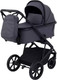 Миниатюра изображения товара Детская универсальная коляска Rant Basic Nexus 2 в 1 / RA106 (графит)