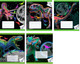 Миниатюра изображения товара Набор тетрадей Centrum Динозавры  / 71637К (18л, клетка, неон, 25шт)